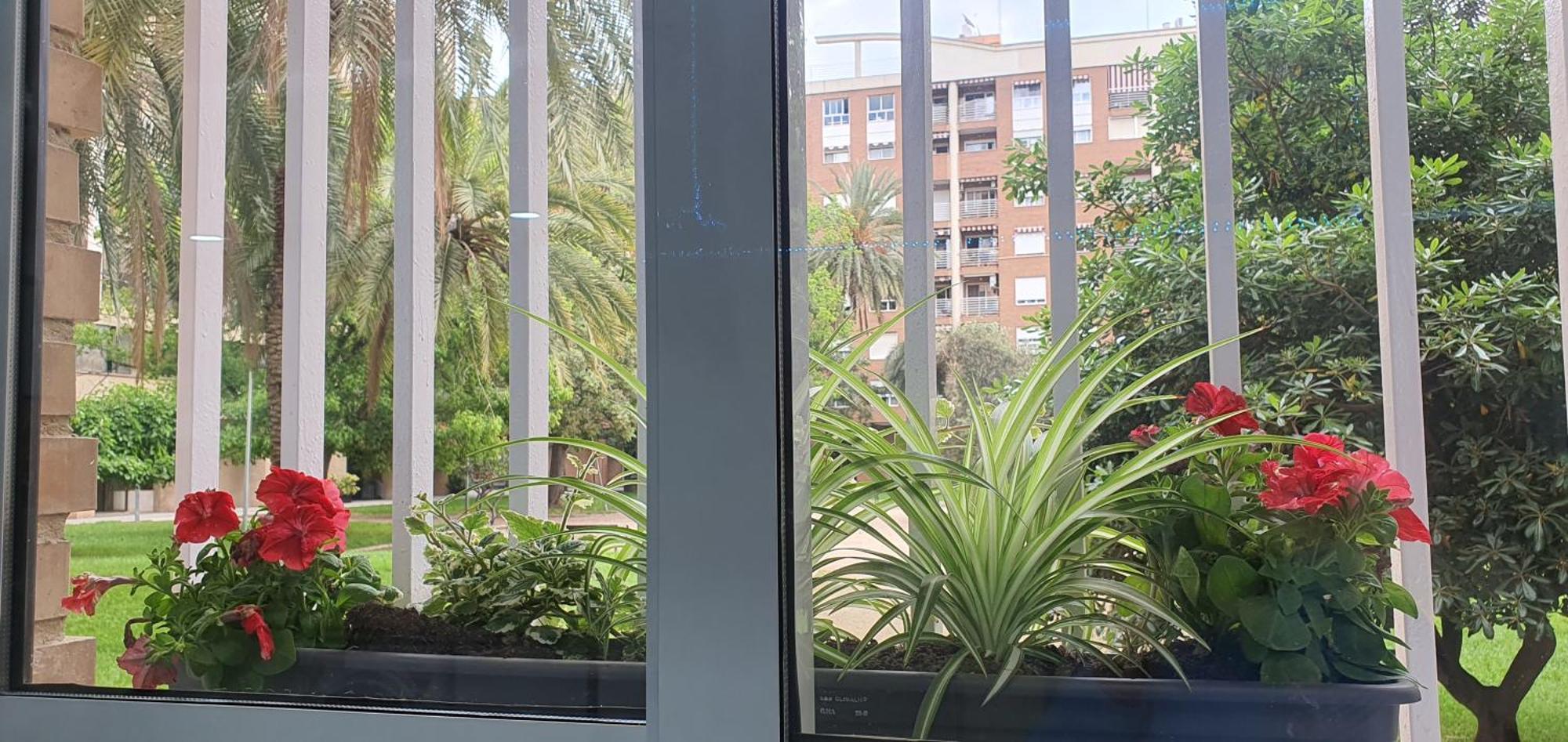 A123 Viviendaturisticavalencia Grandes Grupos Exterior foto